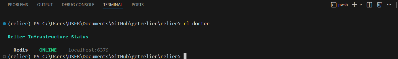 rl doctor output